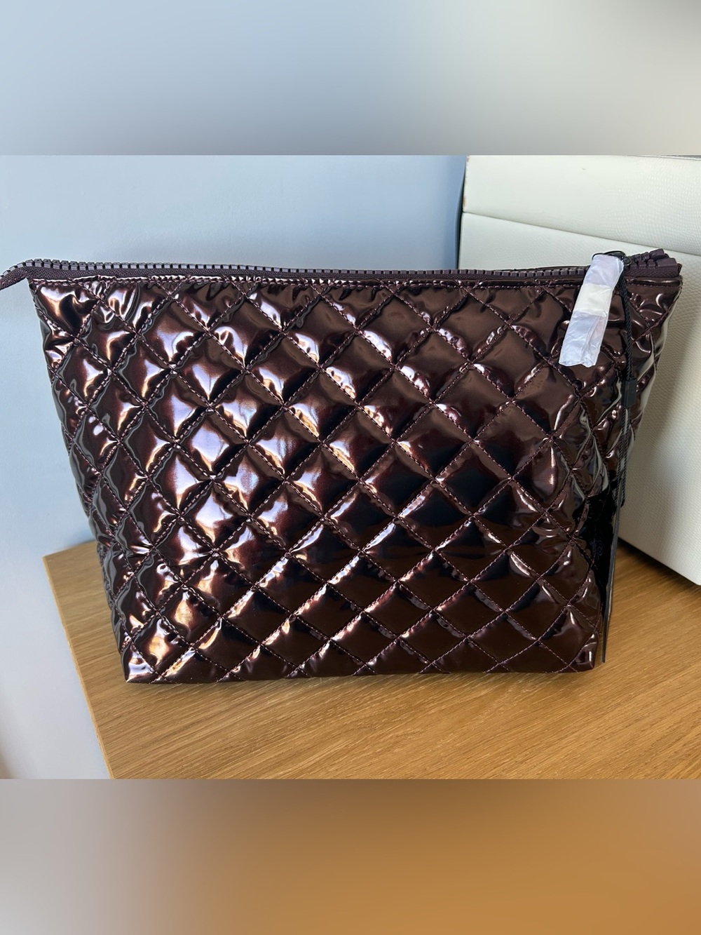 NWT MZ Wallace Zoey Pouch